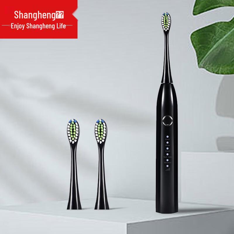 

Shangheng SHZH-039 Sonic Electric Toothbrush CN plug (adapter included)