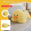 Plush Toys, Cute And Perfect Birthday Gifts For Friends And Classmates, Graduation Gifts
