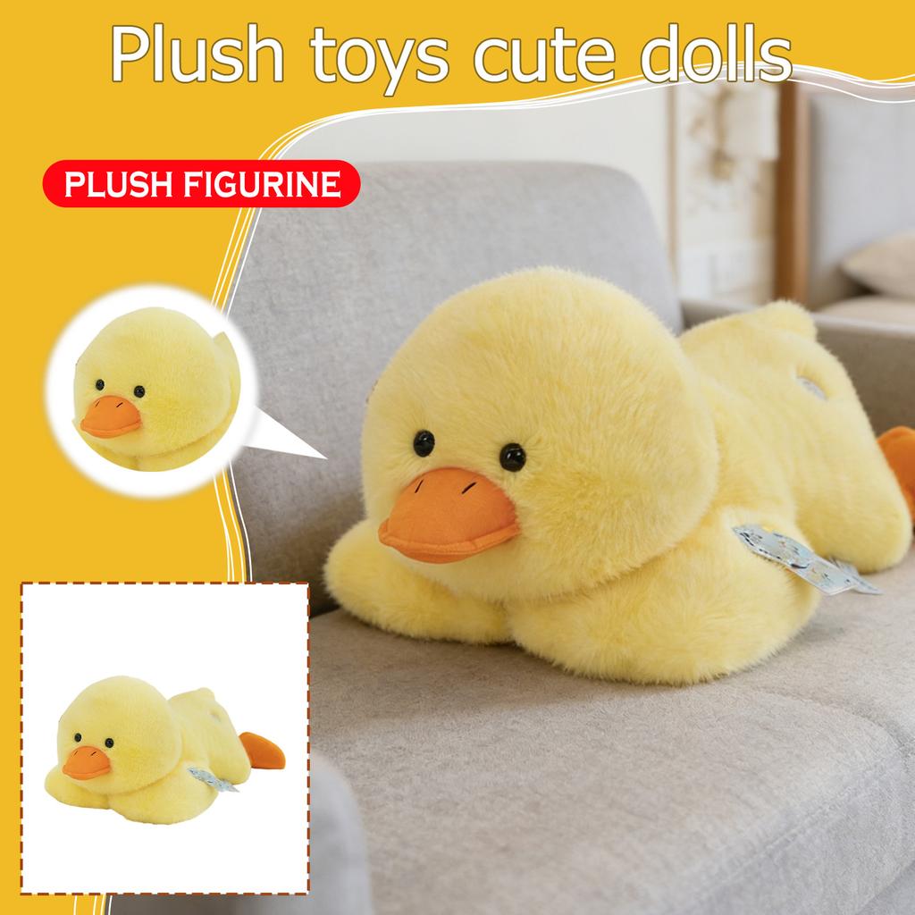 Plush Toys, Cute And Perfect Birthday Gifts For Friends And Classmates, Graduation Gifts