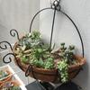 Size Yard Succulents Wall Hanging N1N Flowers Garden Supplies Flower Pot Decoration Hanging Basket
