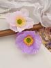 2 Pezzi Pinze per Capelli a Fiore, Tenuta Forte Antiscivolo, Hawaiane, Fermagli Carini, Banana Clip, Accessori per Donne Ragazze Regali per le Feste