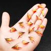 Fliegenfischen Fliegen 18 Stück - 2 Boxen Bundle 2 verschiedene Stile Nassfliegen Köder zum Fangen von Fischen wie Forelle/Barsch etc. in Süßwasser