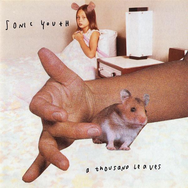 

CD SONIC YOUTH - A Thousand Leaves DGCD25203 DGC 1998 US Rock Used