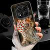 Lizards Geckos Cute Pet Shockproof Phone Case for Xiaomi Redmi Note 15 14 13 12 Pro Plus 11 11S 11T 5G Cover Anti Fall Fundas