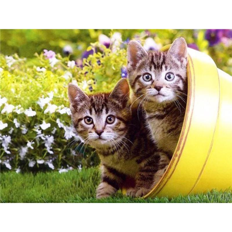 Flower DIY 5D Diamond Painting Full Round Drill Cat Diamond Embroidery Animal Cross Stitch Mosaic Rhinestones Art Handwork Gift