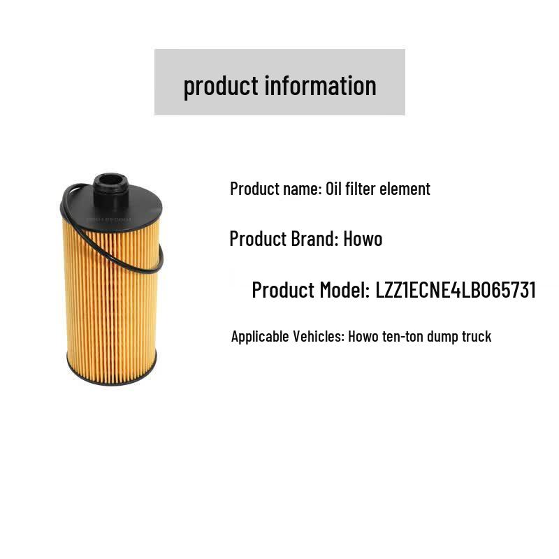 Shaanqi Howo 10-Ton Dump Truck Oil Filter