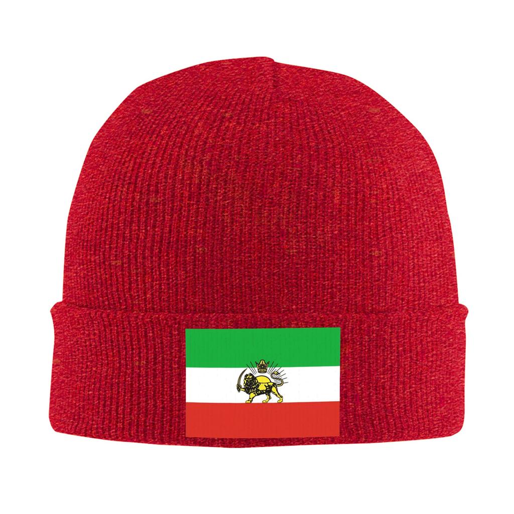 Female Male Flag Of Persia   Beanie Hats  Casual Knit Hat Autumn Winter Hippie Caps Custom Head Wrap Bonnet Hats
