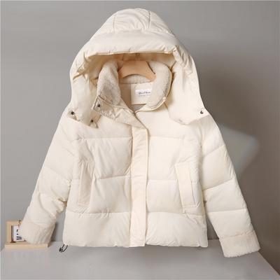 Winter New Hooded Padded Jacket Versatile Thickened Warm Padded Jacket Women's Short Jacket