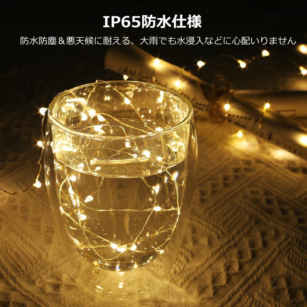 Lighting EVER LED String Fairy 20 Warm Waterproof Copper Christmas Decorative Christmas Tree 16 Button Cell Batteries Included Lights,