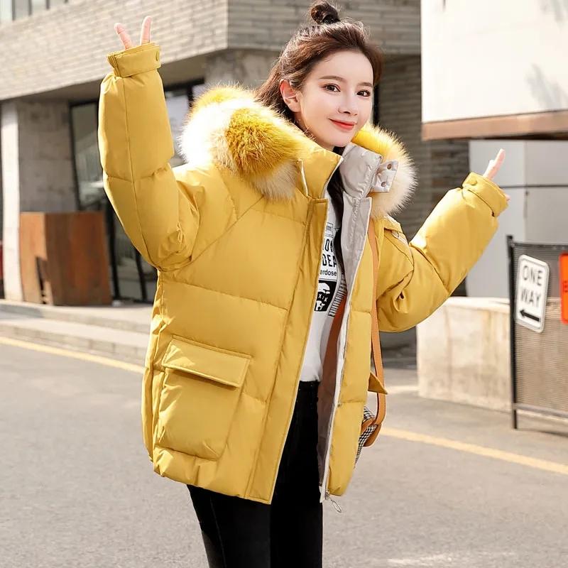 Winter Chic Down Cotton Jackets Women's Korean Style Loose Warm Coats Large Size Solid Color Hooded Short Coats