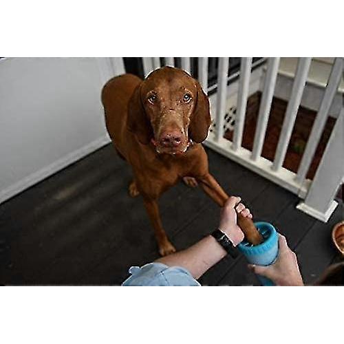 ZK-Pet foot wash cup large 1 blue