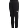 Grade School Pants Moderate Sports EJ8745