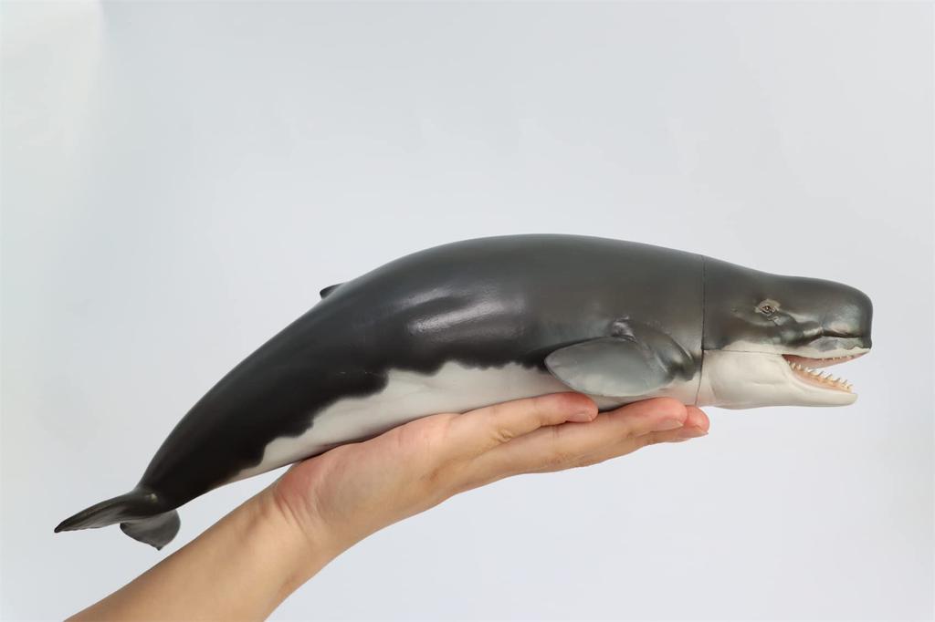 PNSO Growth Series 56 Leviathan Melvillei Libyatan Sperm Whale Family Leviathan Marine Animal Realistic Figure PVC Toy Model Dinosaur Lover Birthday