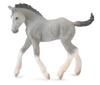 Collecta. Shire foal