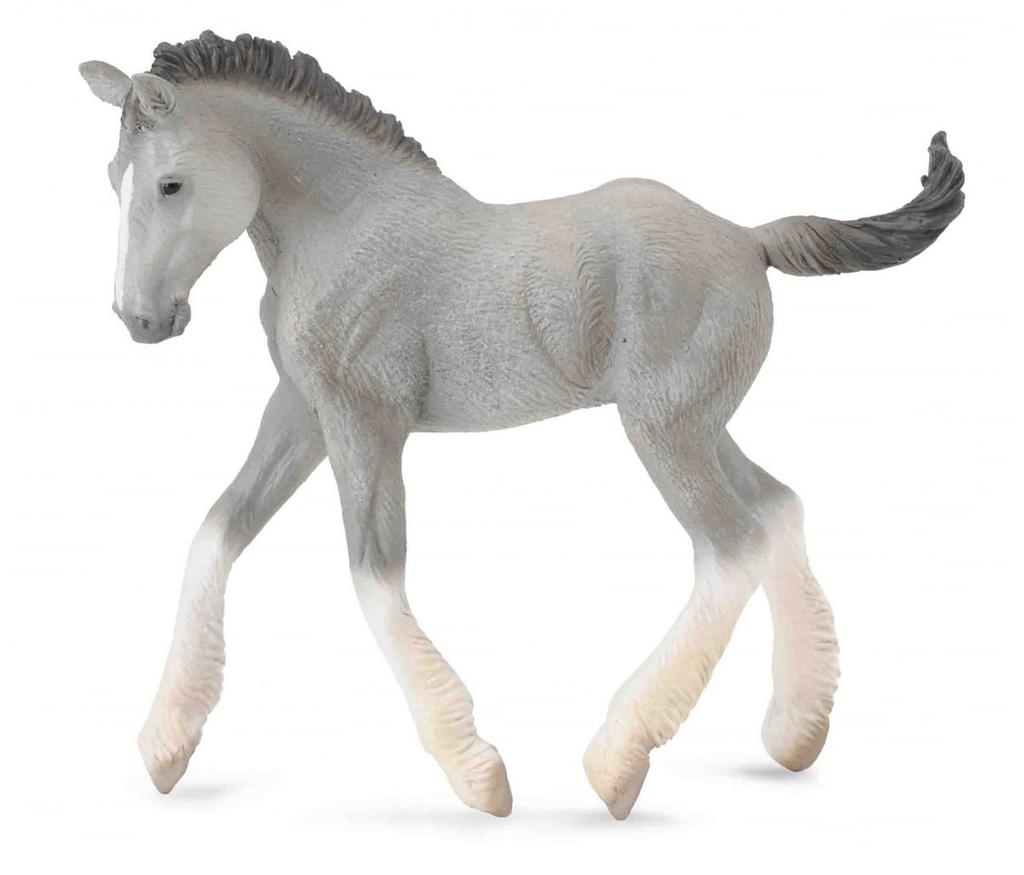 Collecta. Shire foal