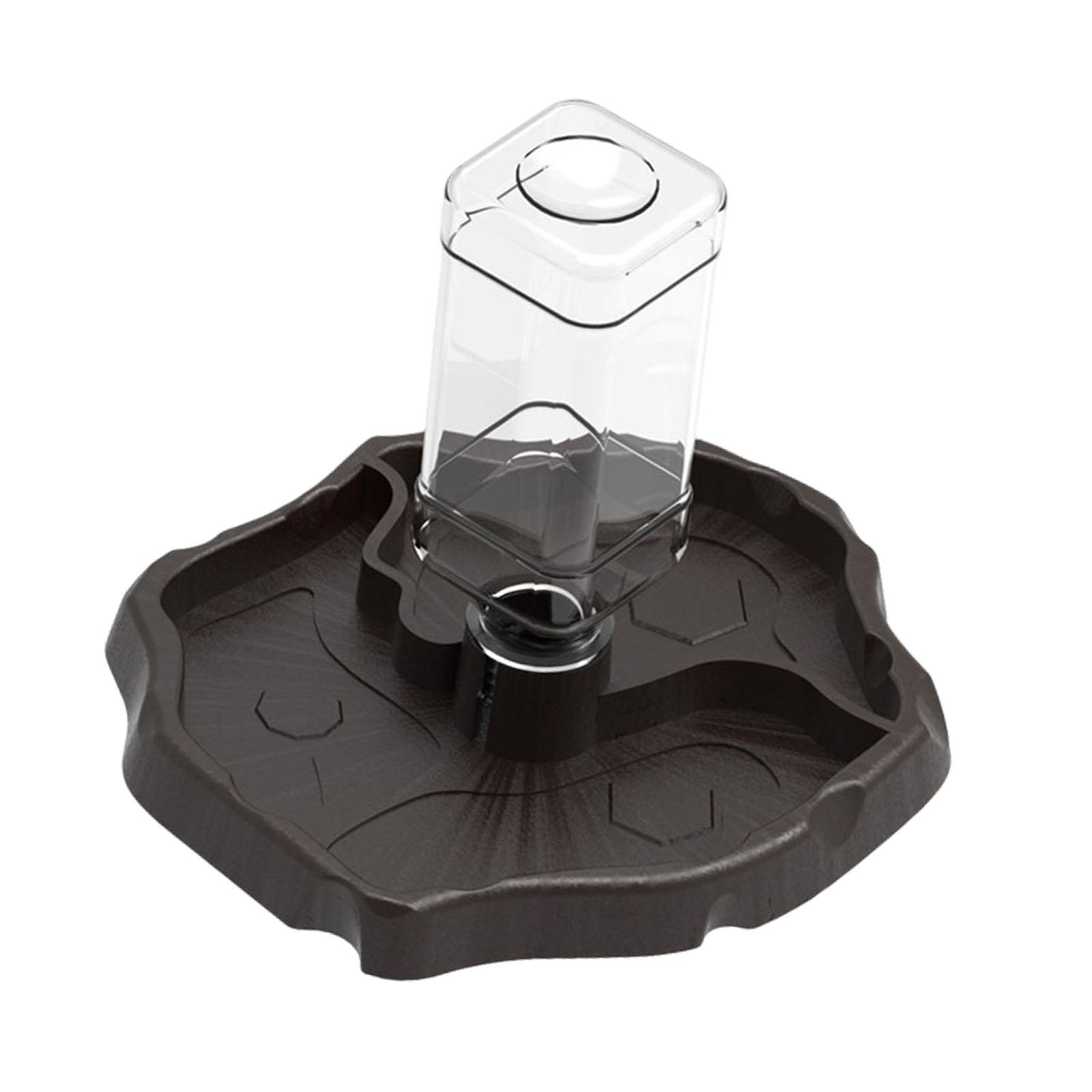 Reptile Food Water Bowl Automatic Feeders Waterer Dispenser Bottle for Small Animals