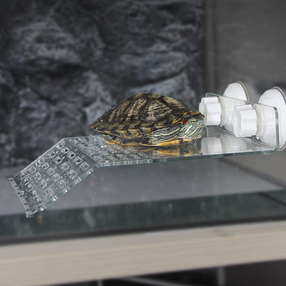 Schildkrötenplattform Aquarium Hohe Temperaturbeständigkeit Starke Saugkraft Acrylplatte Schildkröten Spielen Ausruhen Schwimmende Sonnenliegeterrasse