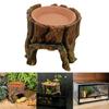 Reptiles Stump Shaped Cave Reptiles Water Dispenser Feeding Dish