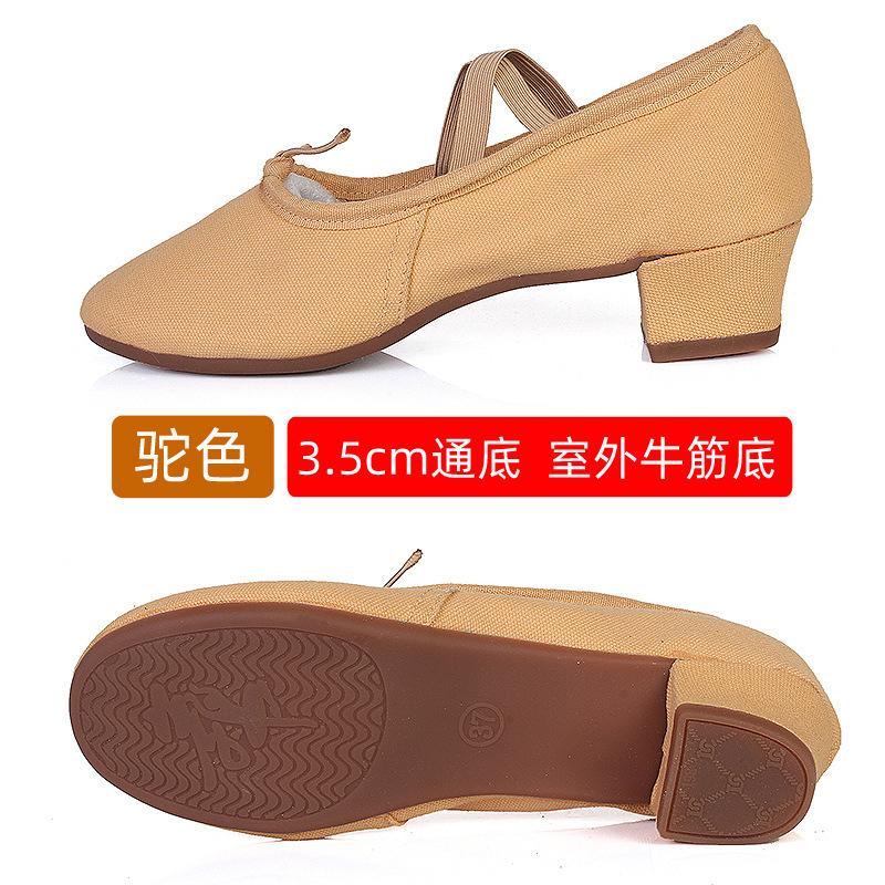 Ballet Dance Shoes Women Teacher Stage Training Sports Shoe Soft Sole Slippers Yoga Belly Practice Shoe Girls Jazz Dancing Shoes