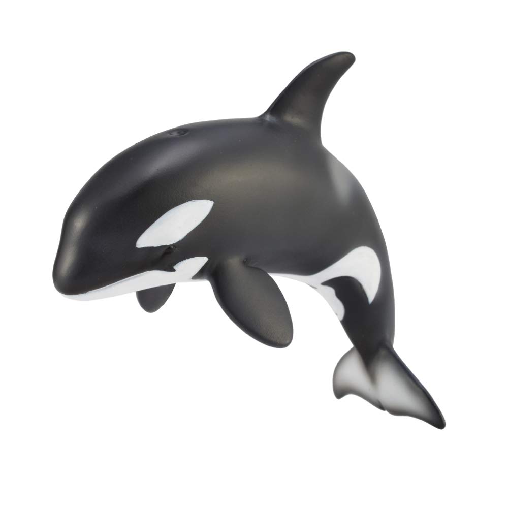 

Collcta Orca Calf 13 x 5 x cm 88618 Animal Hand Painted 7.5 Figurine,