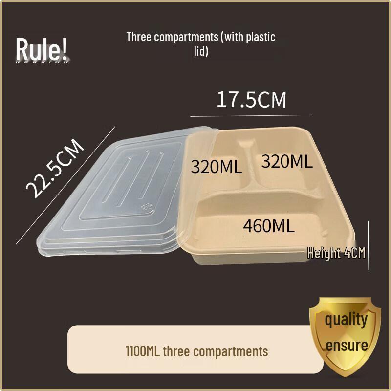 Eco-Friendly Disposable Pulp Compartment Lunch Box