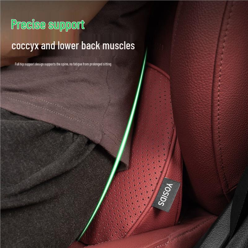 BMW Car Lumbar Support Pad for 3, 5 Series, i3, X1, X3, X5 Driver's Seat
