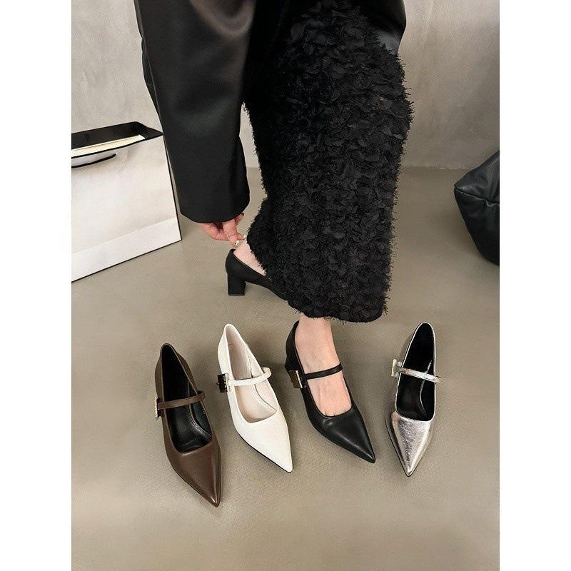 French pointed silver Mary Jane small leather shoes women's shoes 2025 spring with skirt medium and high heel design single shoes