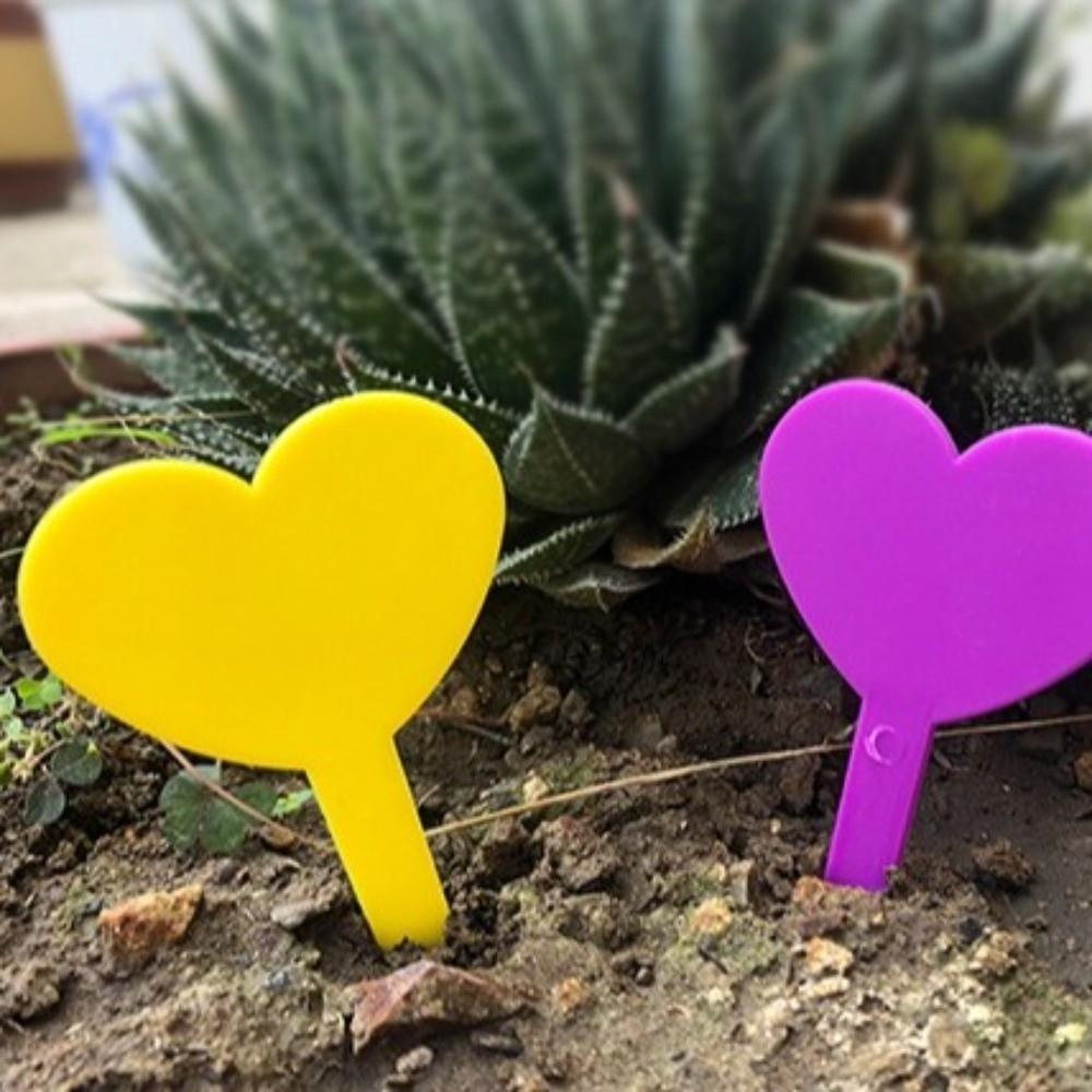100PCS Waterproof Plant Labels Tags Reusable Succulent Signage  Succulents Identification