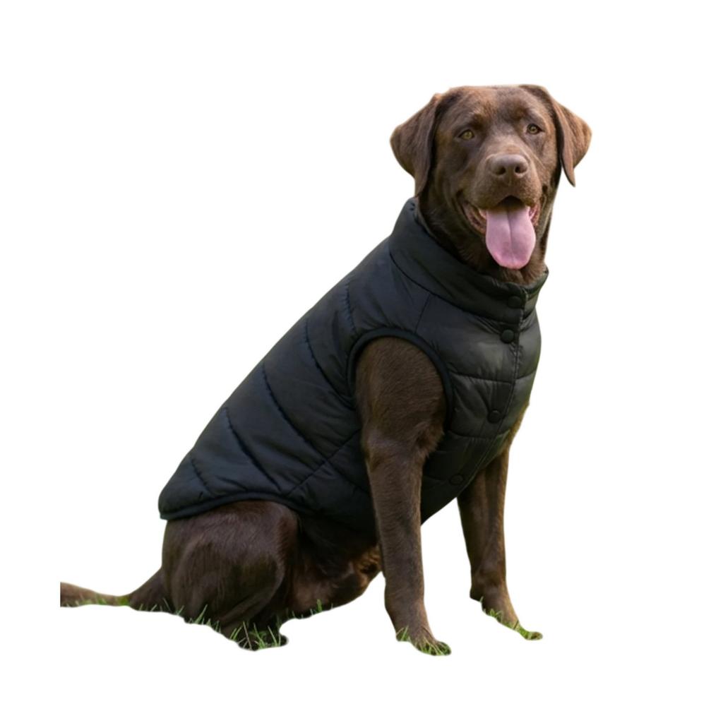 Portman & Pooch Padded Dog Jacket