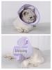 Elizabeth Collar Mesh Pet Protective Cover - Soft, Comfortable, Anti-Bite & Anti-Lick Post-Surgery.