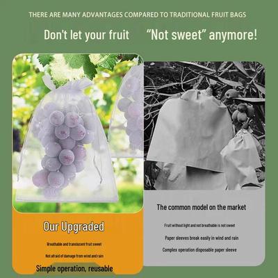 משלוח חינם: שקי רשת לבנים נושמים, עמידים בפני חרקים וציפורים, לעצי פרי