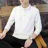 Autumn New Men's Long-sleeved T-shirt Business Lapel Men's Polo Shirt Men's Style