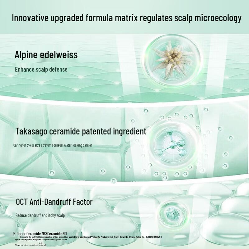 Adolff Fragrance Essential Oil Shampoo