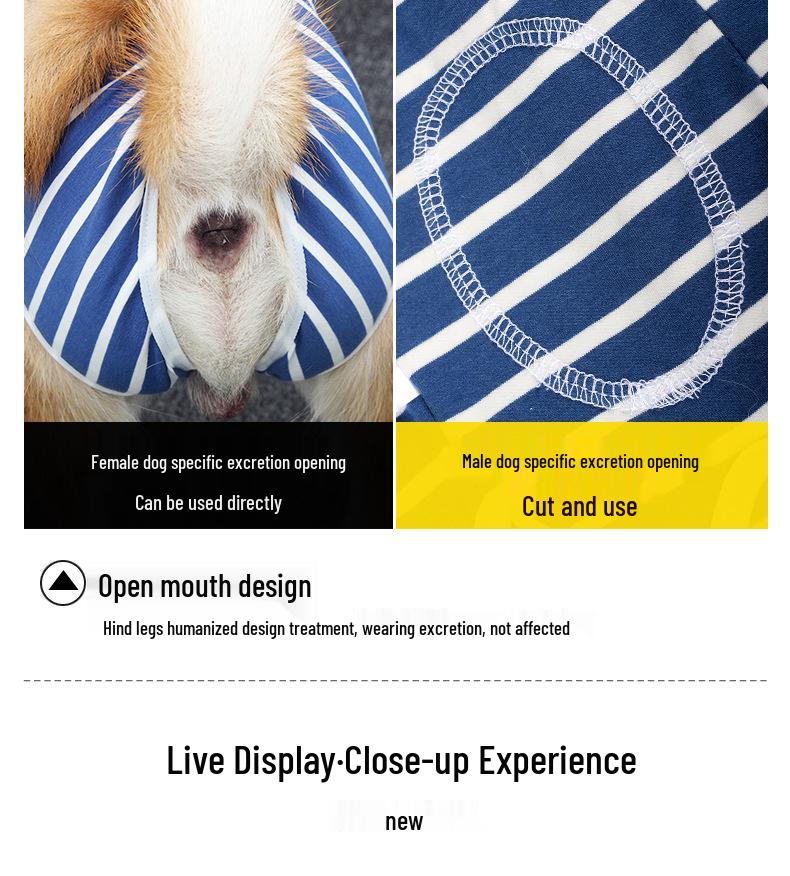 Unisex Pet Recovery Suit: Anti-Lick, Breathable Four-Legged Outfit for Post-Surgery, Weaning, and Hair Loss Protection.