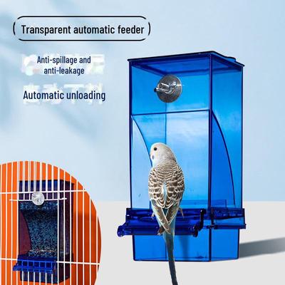 Comedero automático transparente para loros y comedero para pájaros