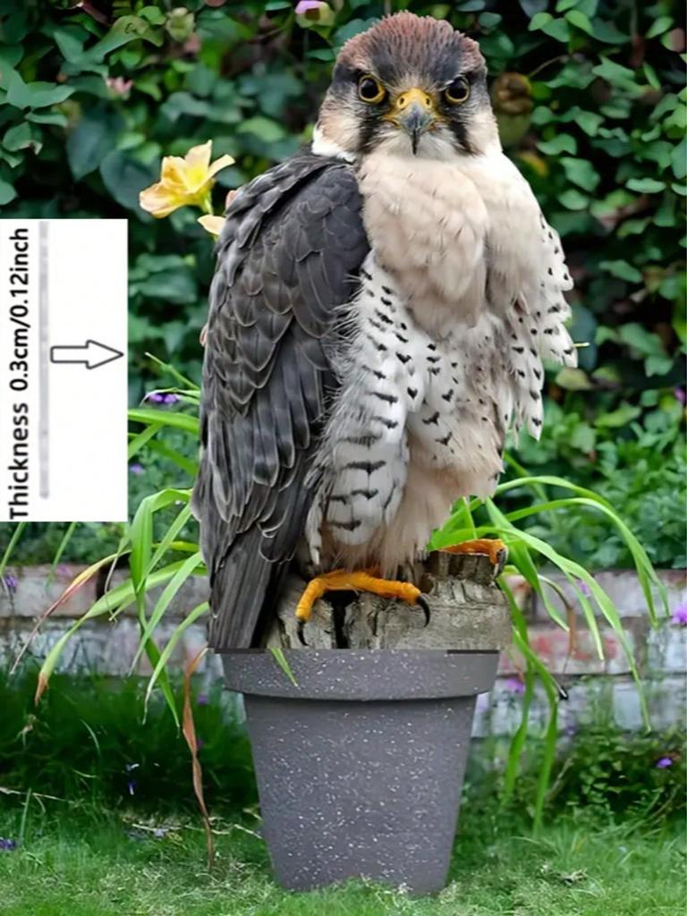 1pcs Falcon and Owl Garden Stakes - Realistic Outdoor Decoration, Suitable for Courtyard Decoration and Farm Decoration