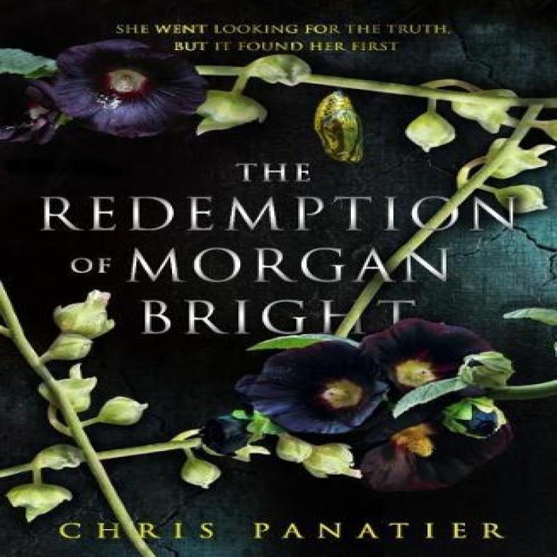 The Redemption of Morgan Bright by Chris Panatier Paperback Book 9781915202895