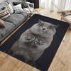 1PC Cute and Handsome Gray Cat Pattern Rugs Living Room Bedroom Carpet Bedside Bathroom Floor Mat Kids Room Non-slip Mat Decor