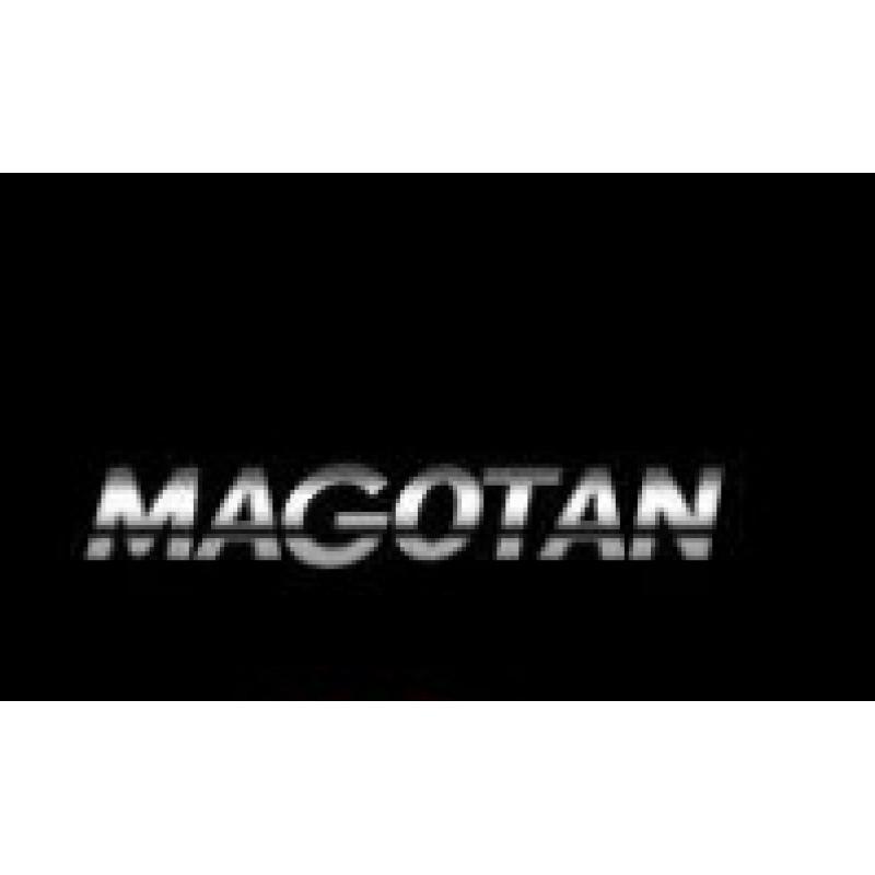 Volkswagen LED Autotür Willkommenslicht für Passat, Magotan, Golf