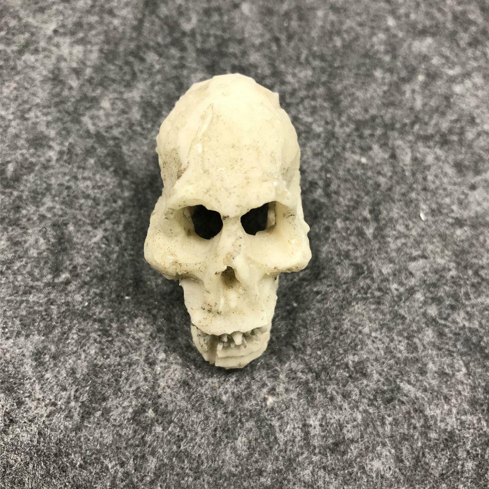 Skull Bones Aquarium Decor Fish Tank Decoration Aquarium Landscape Decorative Landscaping