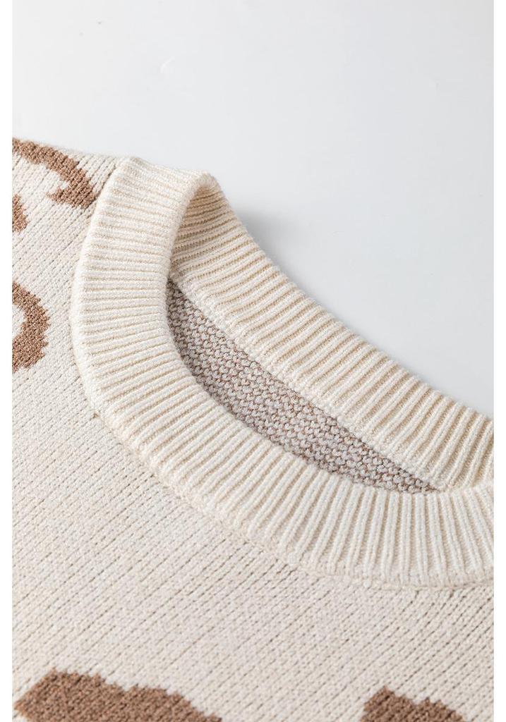 Women's Leopard Print Raglan Sleeve Knit Sweater - European & American Fashion Trend - Loose Fit Pullover with Round Neck