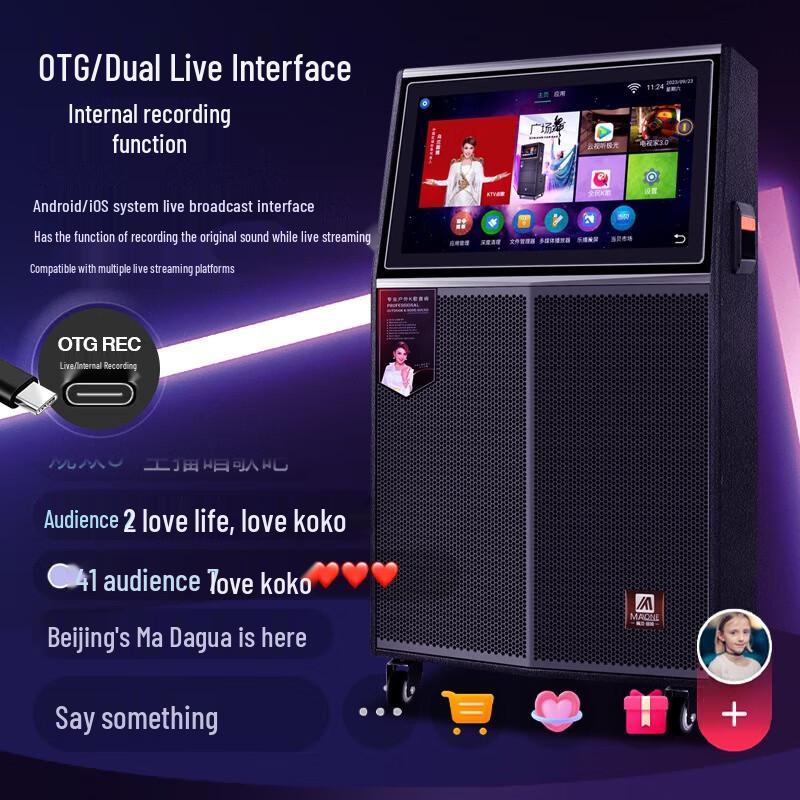 MALONE KT-112 Portable KTV Speaker with 18.5-inch Display