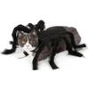 Spider Pet Costume Adorable Halloween Outfit for Small Dogs Cats Polyester Black Size S M Quick Fastening Tape Party Photograph Daily Wear