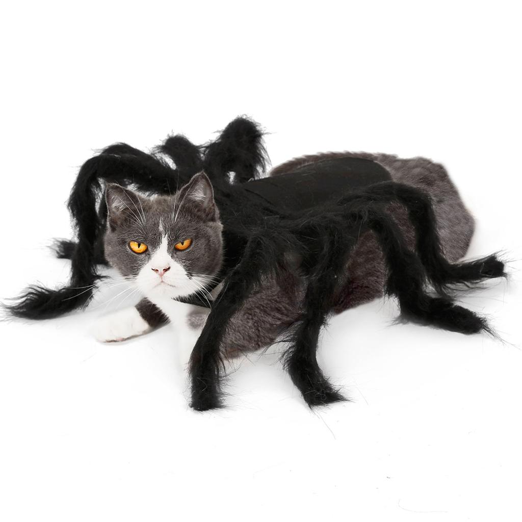 Costume Gatto Per Bambina Halloween - Pigiama Felpa Con Coda, Orecchie E Zampa - Grigio, Taglie S (5-6) E M (7-8 Anni)
