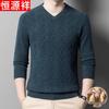 Hengyuanxiang Men's 100% Wool V-Neck Sweater