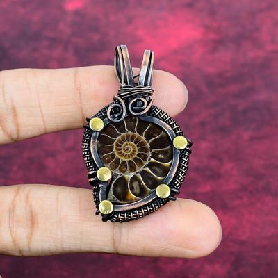 Pendentif Fossile d'Ammonite Bijoux Faits Main Enroulés de Fil de Cuivre Pendentif Pierre Précieuse