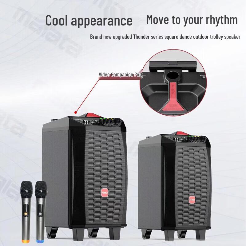 Malata 8-inch Portable Bluetooth Karaoke Speaker