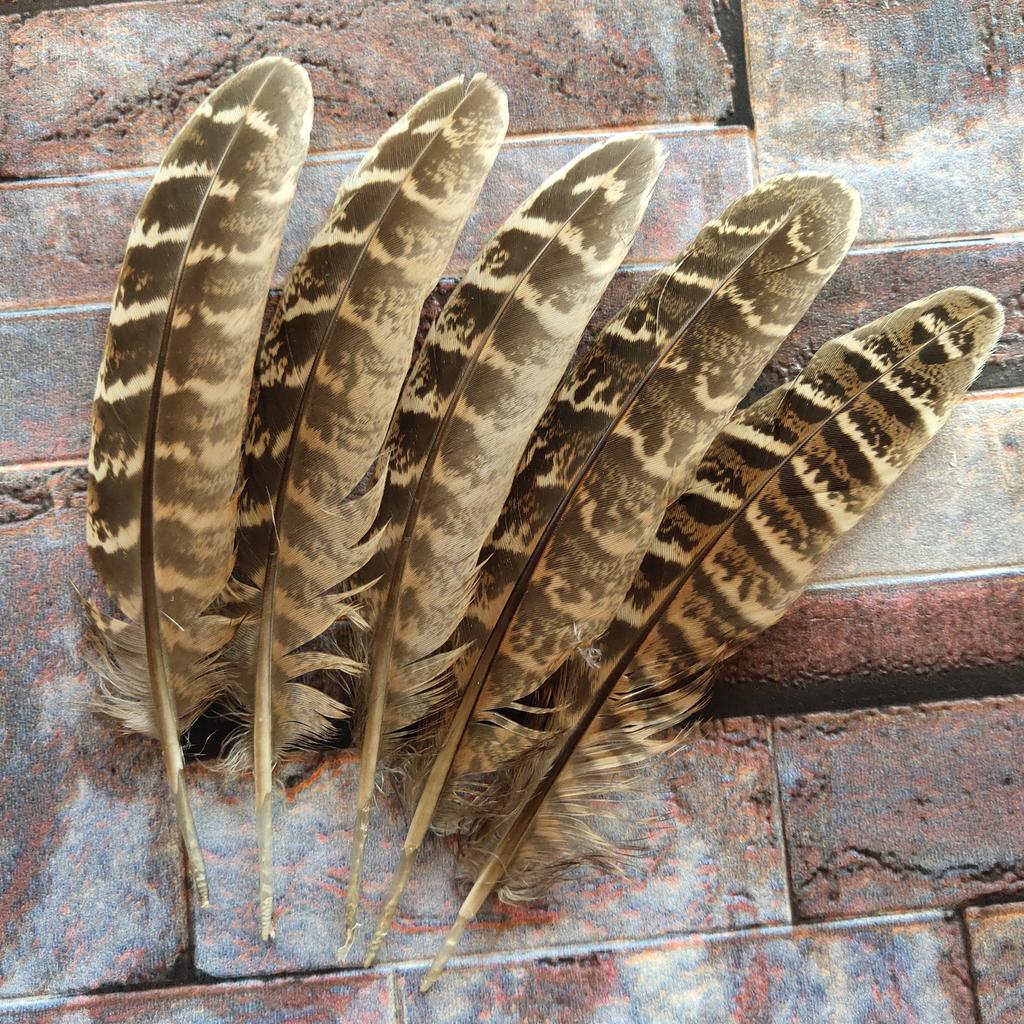 10 Pcs Beautiful High Quality 10-15cm/4-6inches Natural Pheasant Feathers 11 Colors Optional DIY Decorative