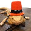 Reptiles – Soin des reptiles