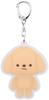Skater Acrylic Keychain Akky Papupapupapi TOY POODLE Toy Poodle Dog
